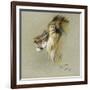 A Lion's Head-Richard Friese-Framed Giclee Print