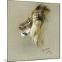 A Lion's Head-Richard Friese-Mounted Giclee Print