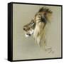 A Lion's Head-Richard Friese-Framed Stretched Canvas