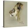 A Lion's Head-Richard Friese-Stretched Canvas