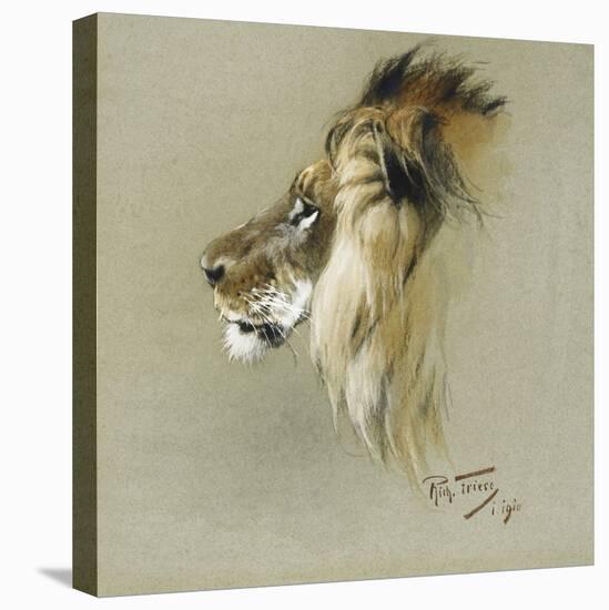 A Lion's Head-Richard Friese-Stretched Canvas