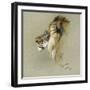 A Lion's Head-Richard Friese-Framed Giclee Print