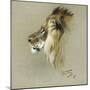 A Lion's Head-Richard Friese-Mounted Giclee Print