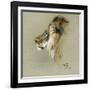 A Lion's Head-Richard Friese-Framed Giclee Print