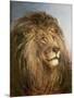 A Lion's Head-Heywood Hardy-Mounted Giclee Print