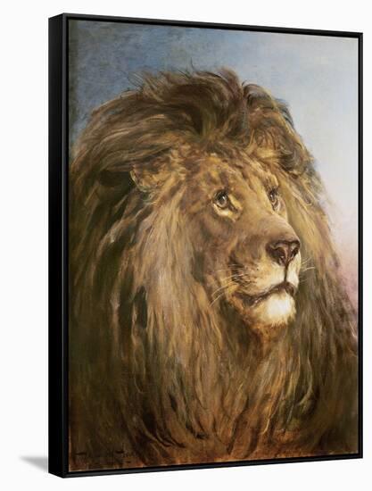 A Lion's Head-Heywood Hardy-Framed Stretched Canvas