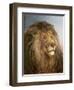 A Lion's Head-Heywood Hardy-Framed Giclee Print