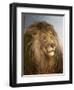 A Lion's Head-Heywood Hardy-Framed Giclee Print