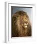 A Lion's Head-Heywood Hardy-Framed Giclee Print