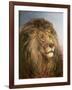 A Lion's Head-Heywood Hardy-Framed Giclee Print