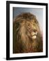 A Lion's Head-Heywood Hardy-Framed Giclee Print