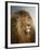 A Lion's Head-Heywood Hardy-Framed Giclee Print