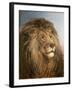 A Lion's Head-Heywood Hardy-Framed Giclee Print