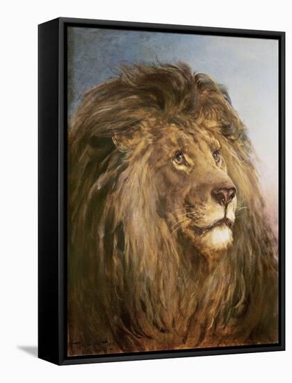 A Lion's Head-Heywood Hardy-Framed Stretched Canvas