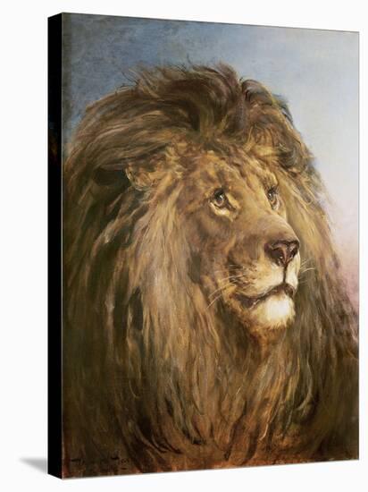 A Lion's Head-Heywood Hardy-Stretched Canvas