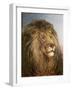 A Lion's Head-Heywood Hardy-Framed Giclee Print