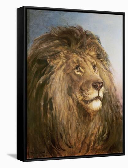 A Lion's Head-Heywood Hardy-Framed Stretched Canvas