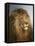 A Lion's Head-Heywood Hardy-Framed Stretched Canvas