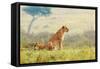 A Lion's Tail-Shelley Lake-Framed Stretched Canvas