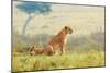 A Lion's Tail-Shelley Lake-Mounted Premium Giclee Print