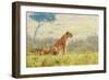 A Lion's Tail-Shelley Lake-Framed Art Print