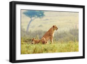 A Lion's Tail-Shelley Lake-Framed Art Print