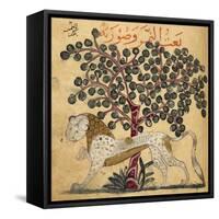 A Lion Standing Beneath a Tree-null-Framed Stretched Canvas