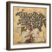 A Lion Standing Beneath a Tree-null-Framed Giclee Print