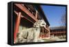 A Lion Statue at Zhen Jue Temple, Beijing, China, Asia-Christian Kober-Framed Stretched Canvas