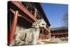 A Lion Statue at Zhen Jue Temple, Beijing, China, Asia-Christian Kober-Stretched Canvas