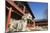 A Lion Statue at Zhen Jue Temple, Beijing, China, Asia-Christian Kober-Mounted Photographic Print