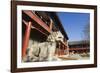 A Lion Statue at Zhen Jue Temple, Beijing, China, Asia-Christian Kober-Framed Photographic Print