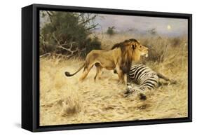 A Lion with His Prey-Wilhelm Kuhnert-Framed Stretched Canvas