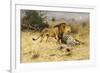 A Lion with His Prey-Wilhelm Kuhnert-Framed Giclee Print