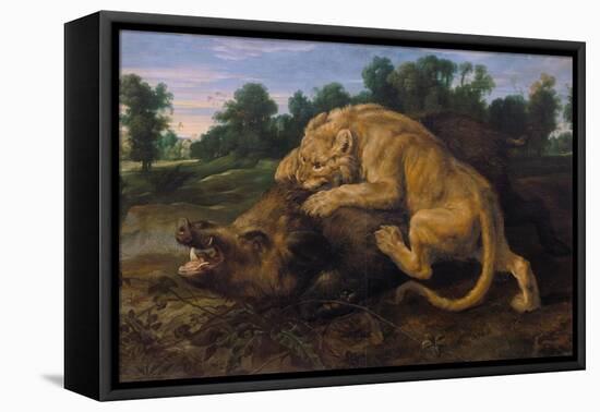 A Lioness Attacking a Wild Boar-Frans Snyders-Framed Stretched Canvas