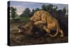 A Lioness Attacking a Wild Boar-Frans Snyders-Stretched Canvas