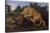 A Lioness Attacking a Wild Boar-Frans Snyders-Stretched Canvas