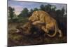 A Lioness Attacking a Wild Boar-Frans Snyders-Mounted Giclee Print