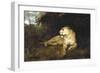 A Lioness, C1867-1910-John Macallan Swan-Framed Giclee Print