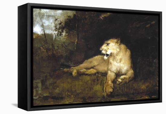 A Lioness, C1867-1910-John Macallan Swan-Framed Stretched Canvas