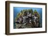 A Lionfish Swims on a Reef in Komodo National Park, Indonesia-Stocktrek Images-Framed Photographic Print