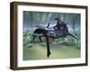 A Liopleurodon Attacks a Plesiosaurus-null-Framed Art Print