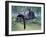 A Liopleurodon Attacks a Plesiosaurus-null-Framed Art Print