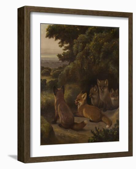 A litter of Fox Cubs by Samuel John Carter-Samuel John Carter-Framed Giclee Print