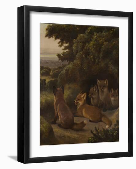 A litter of Fox Cubs by Samuel John Carter-Samuel John Carter-Framed Giclee Print