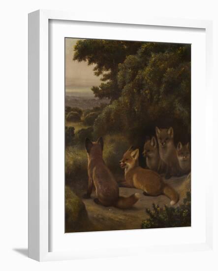 A litter of Fox Cubs by Samuel John Carter-Samuel John Carter-Framed Giclee Print