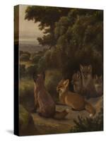 A litter of Fox Cubs by Samuel John Carter-Samuel John Carter-Stretched Canvas