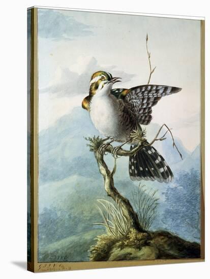 A Little Bird, 1798-Georgius Jacobus Johannes van Os-Stretched Canvas