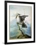 A Little Bird, 1798-Georgius Jacobus Johannes van Os-Framed Giclee Print