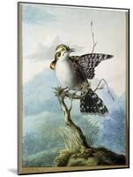 A Little Bird, 1798-Georgius Jacobus Johannes van Os-Mounted Giclee Print